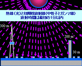 閃光・初期放射線暴露